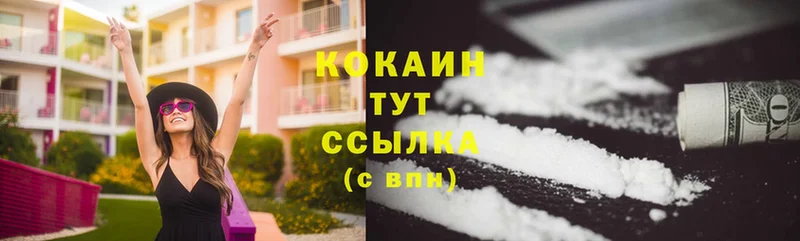 цена   MEGA tor  Cocaine FishScale  Ярцево 